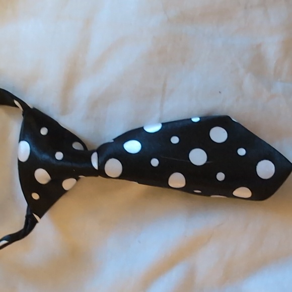 Black and white polka dot doggie tie!! - Picture 3 of 4